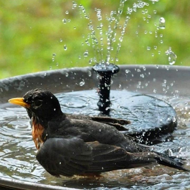 Solar Fountain