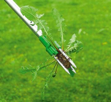 Long Handle Weed Remover